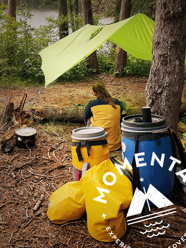 Portfolio cover image for the case study of Momenta Inc.